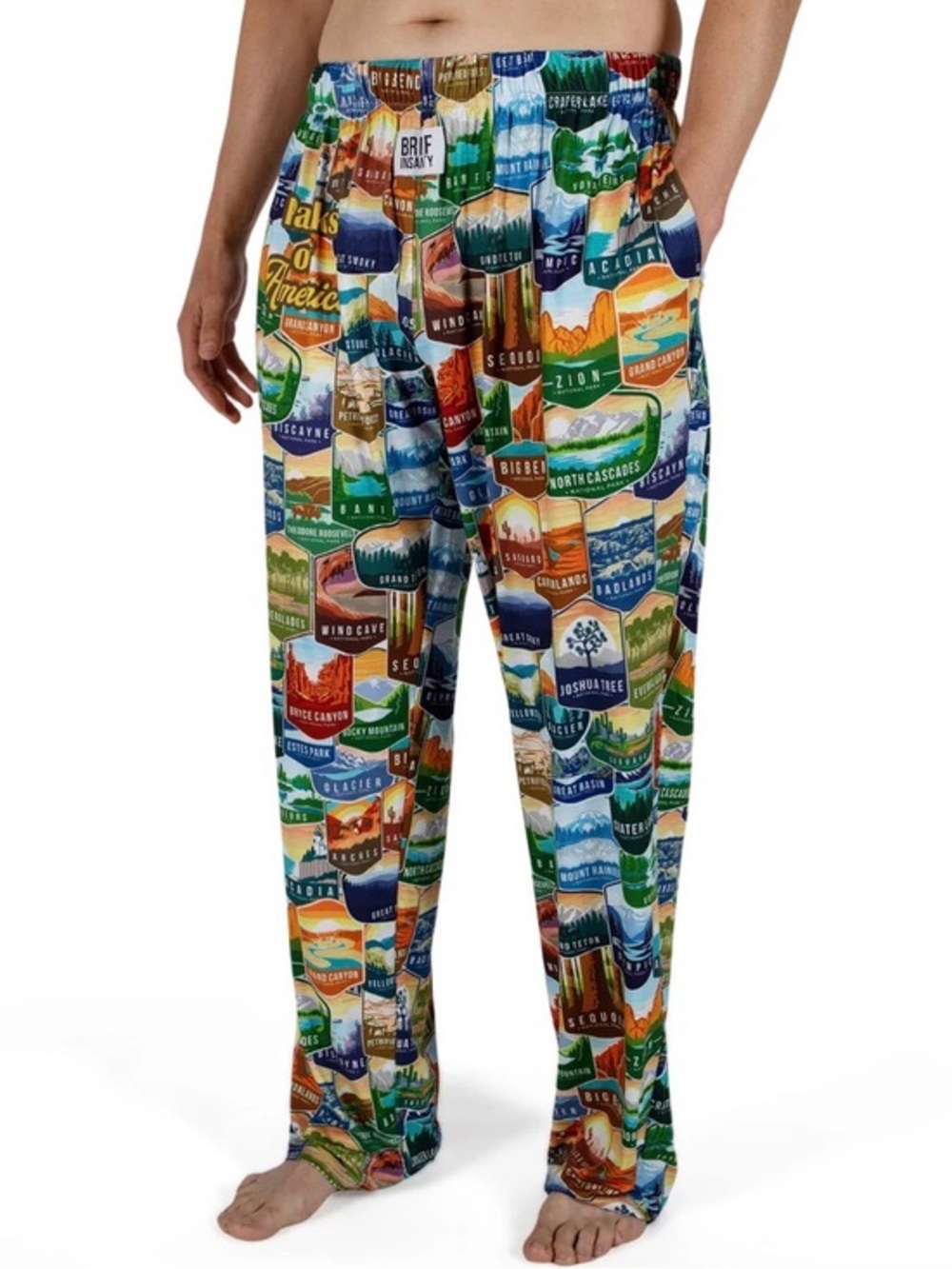 Brief Insanity Parks of America Lounge Pants M